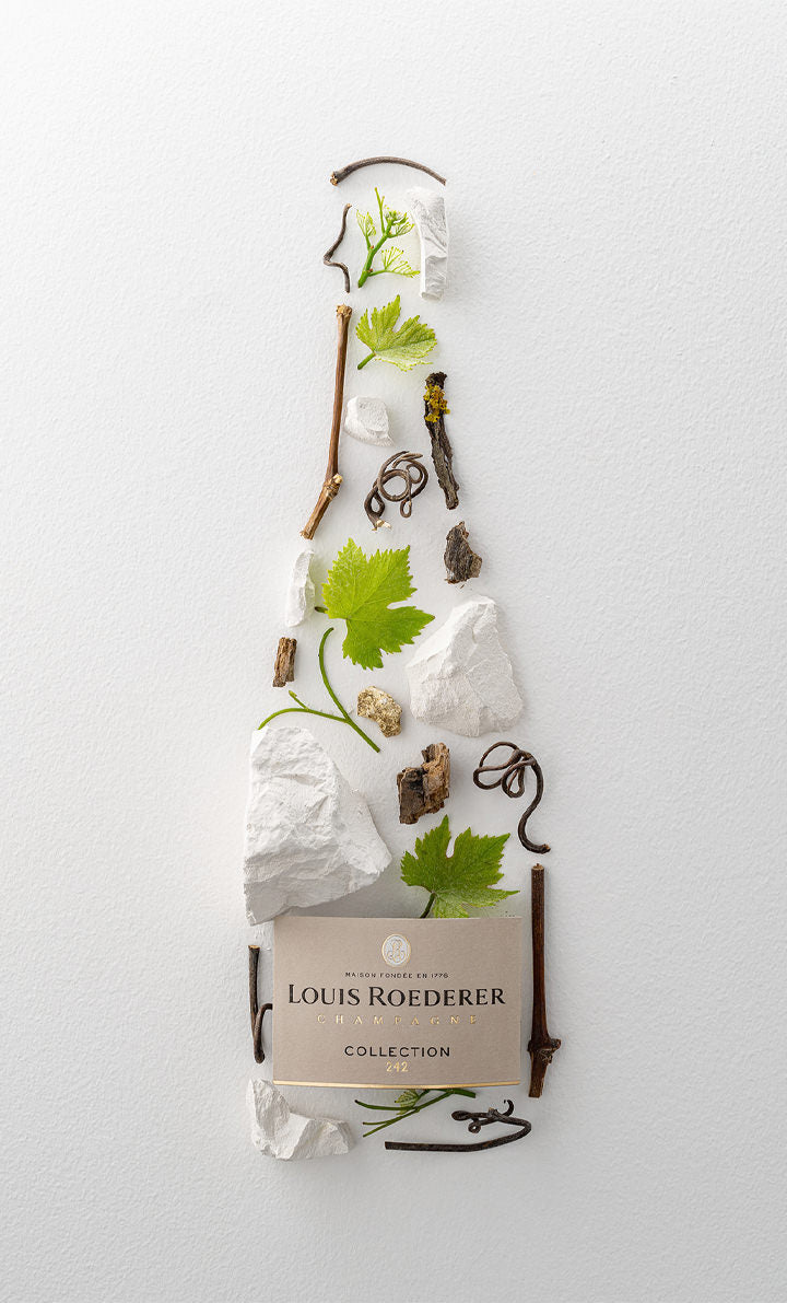 Champagne RODERER Collection 242 Magnum 1.5 litres