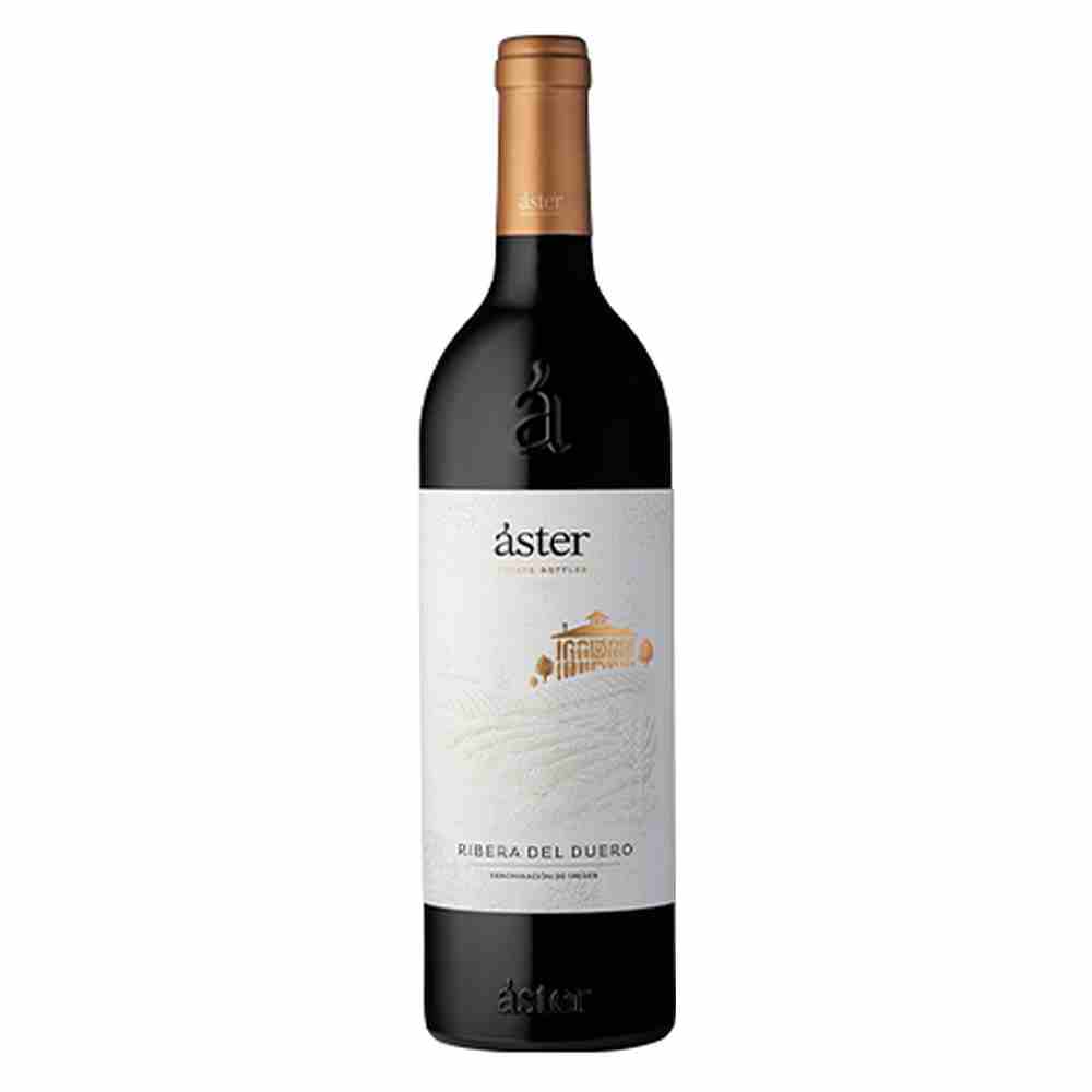 Áster  - Ribeira Del Duero (Espagne) - 2016
