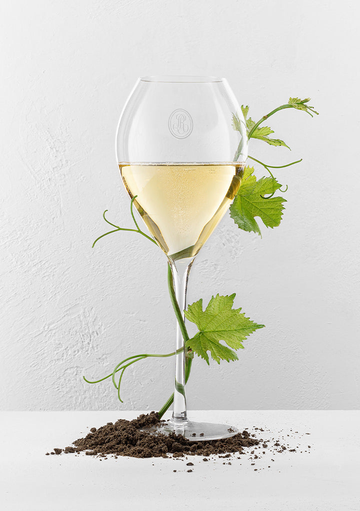 Champagne RODERER Collection 242 Magnum 1.5 litres